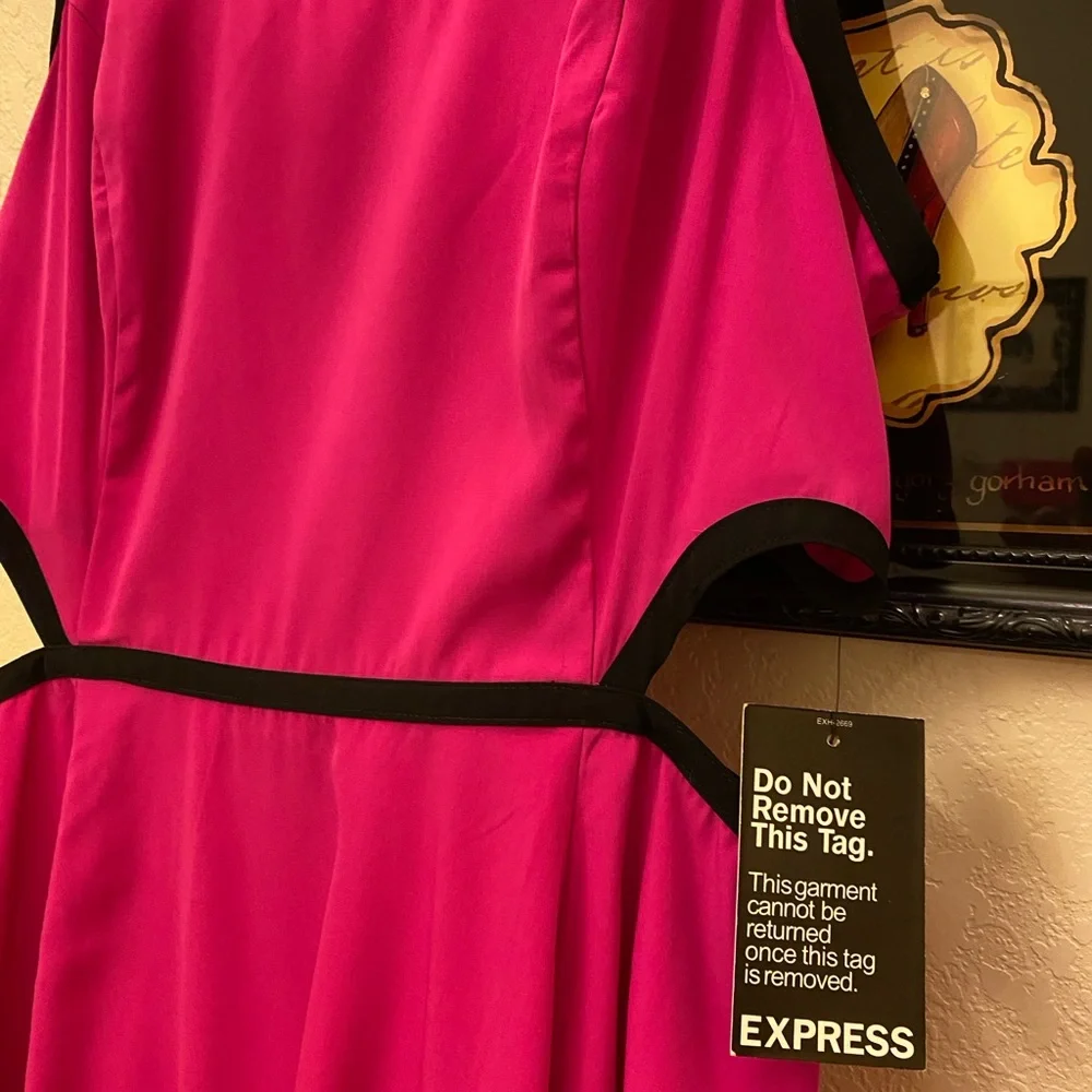 Express Fushia tank dress with cut out sides and zipper back. Size 10– NWT - Picture 4 of 8